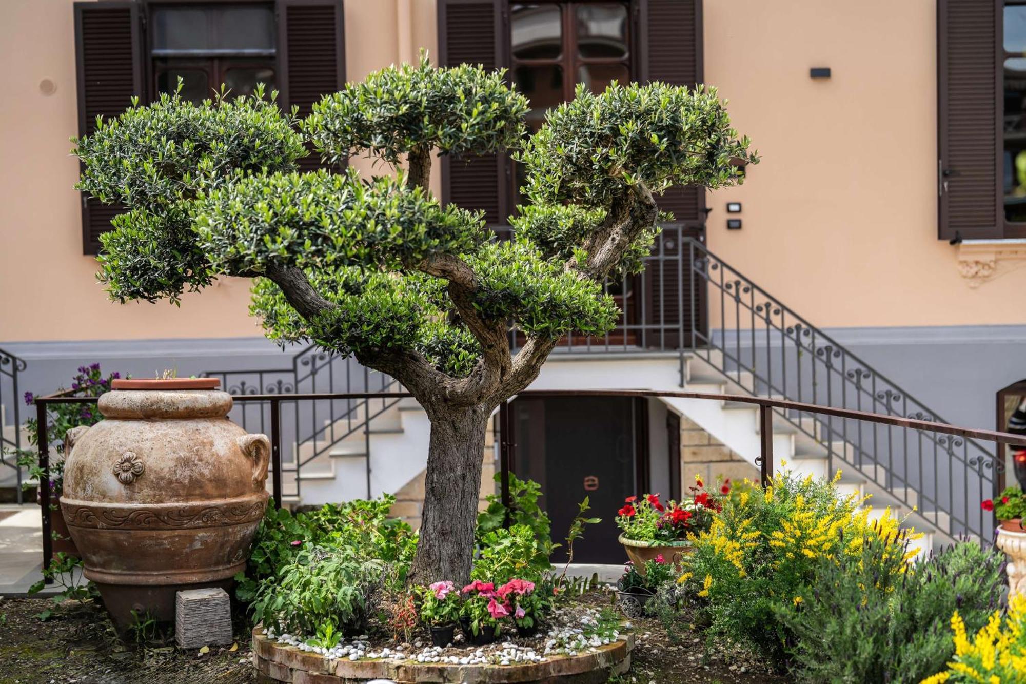 Villa Agostino Luxury B&B Vico Equense Exteriör bild